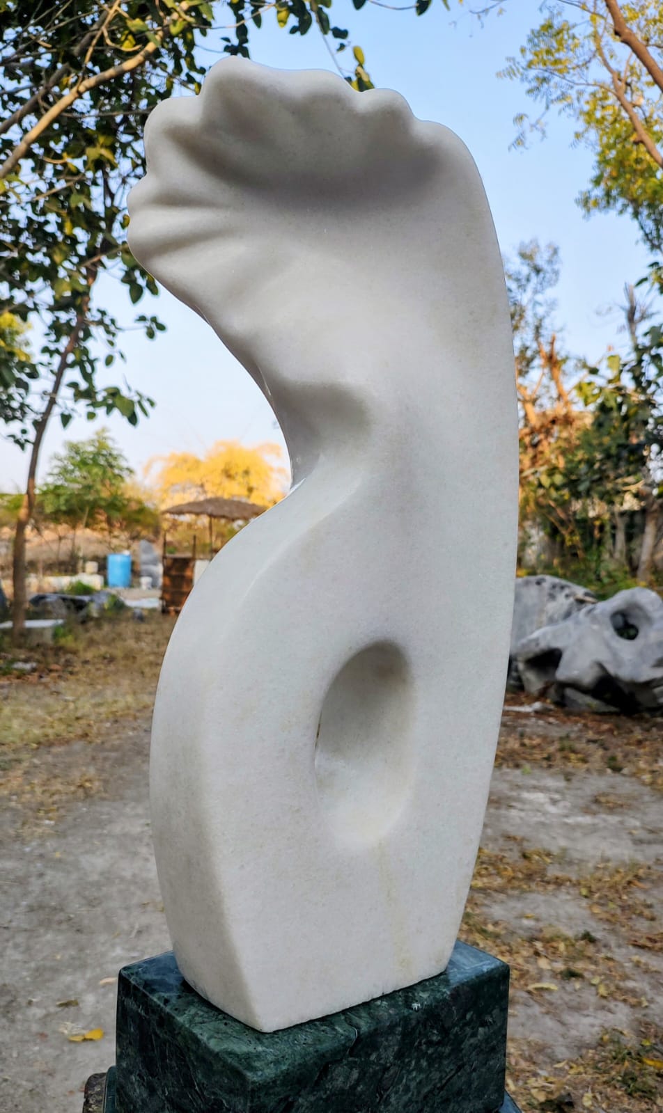 Sleek Nature Sculpture