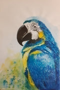 Parrot Watercolor Artwork